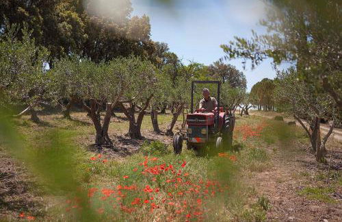 Château de la Motte - Entre Narbonne et le Canal du Midi - Foto 22