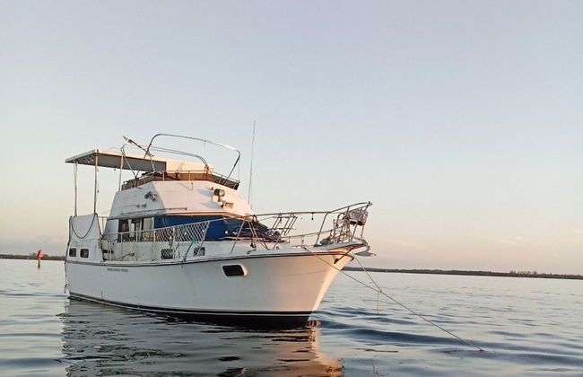 Sip And Sea - Foto 1