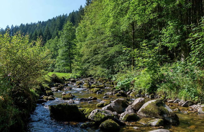 Apartment in Neukirch With Terrace - Foto 31