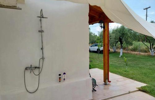 Bill & Eva's precious jewel - Photo 39