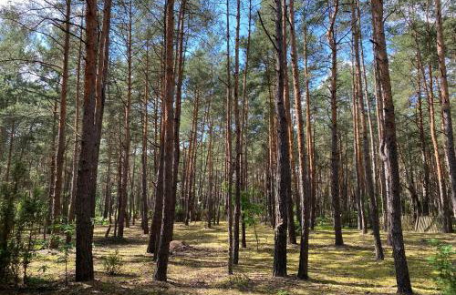 Otulina Gulczewo - Foto 34