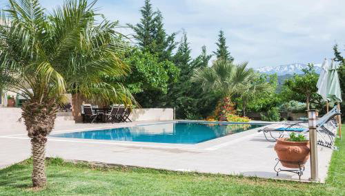 Orange Tree Garden vacation home - Foto 5, Garden, Garden view