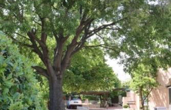 Apartment Neyra - Foto 19