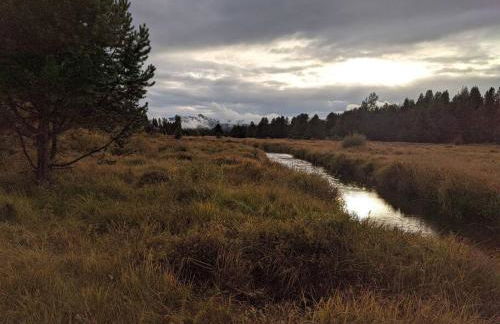 Wild Woods - Cascades Riverside Retreat - Foto 15