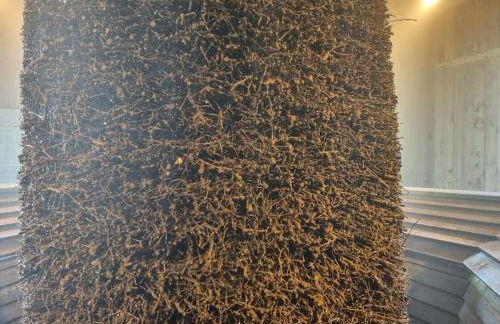 Ferienwohnung direkt am Kurpark mit Gradierwerk Solestadt - Foto 13