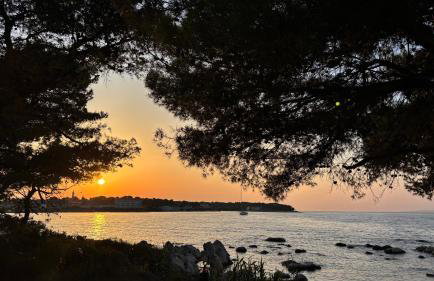 Villa Pearl of Kali, island Ugljan - first row to the sea - Foto 43