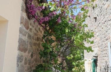 Gîte tante Jeanne - Foto 45