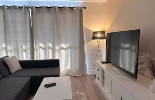 Charmant appartement avec 4 chambres à Orléans Sud - Foto 19