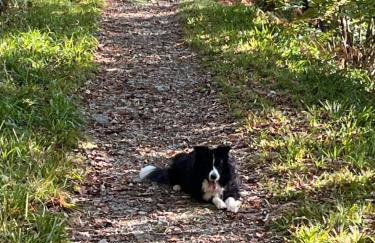 West Cumbria static caravan - Foto 15