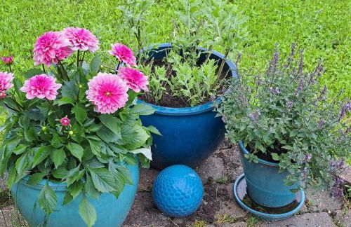 Haus Eufalia - Photo 56