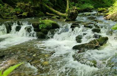 Ferienwohnung bei Burg Eltz - Foto 26
