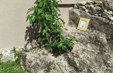 Tapada das Carvalhas - Foto 9