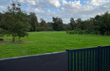 les Palmiers - Foto 19