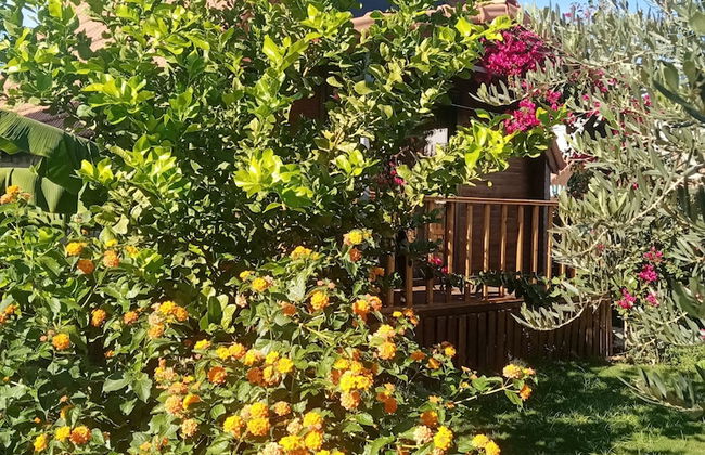 Riviera Bungalow Evleri Demre - Photo 50