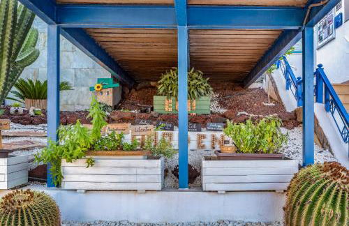 Club Cala Blanca - Photo 62