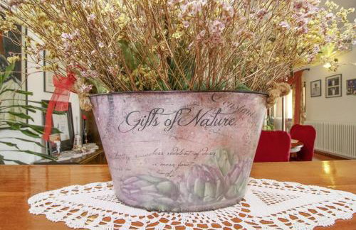 Luna in Marčana (Haus für 4-6 Personen) - Foto 31