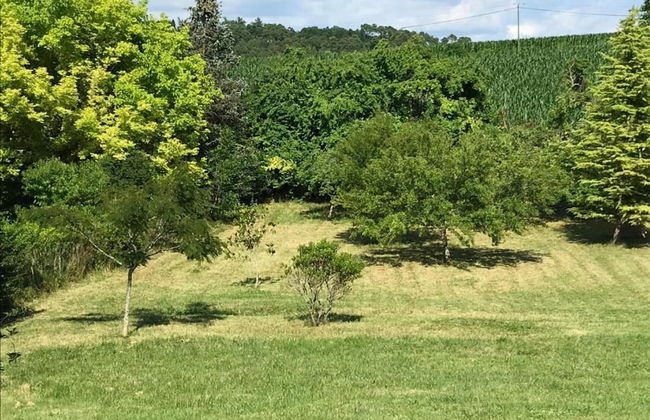 Holiday Home Le Fournil in Manhay With Garden - Photo 27