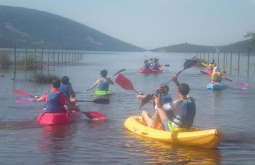 El Rincón de Cabañeros - Foto 17