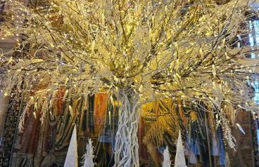 Appartement indépendant avec terrasse - Foto 5