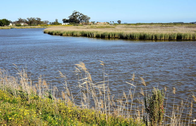 L'Ermitage Quagga Lodge - Photo 54