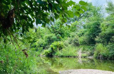 Cabin 1 Remote cabin next to Sam Houston National Forest - Foto 20