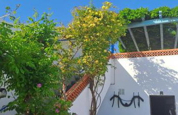 Casa dos Avós - Photo 77