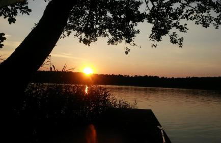 Ferienwohnung Zesch am See - Photo 9