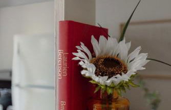 Maple Heights Bliss - Unit 12 - Foto 26