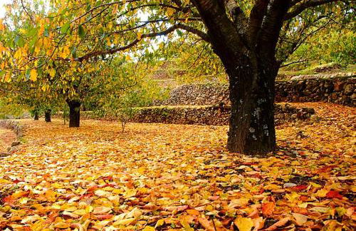 El Mirador de Cabezuela, apartamento con vistas al Valle del Jerte - Foto 18