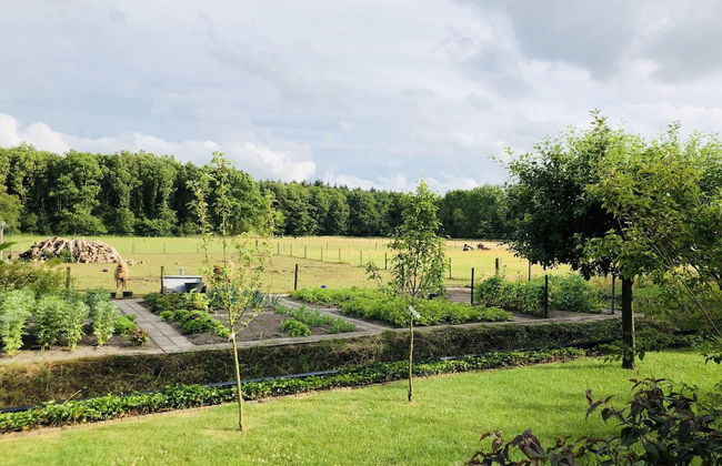 Homely Apartment in Noordwolde With Balcony - Foto 60