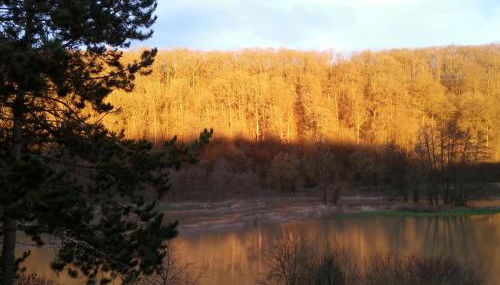 Paradiesgarten am Saaleufer - Foto 4