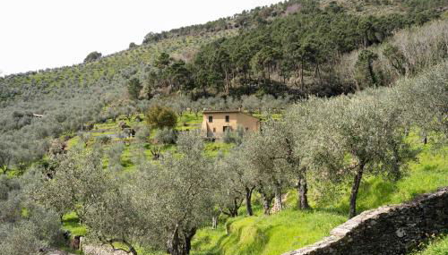 Podere del Pari - Foto 4