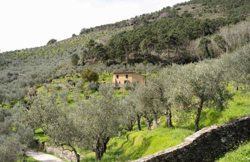 Podere del Pari - Foto 4