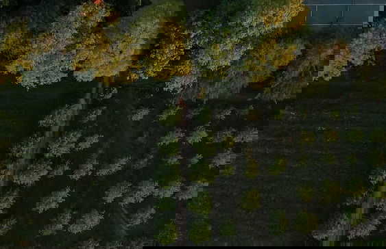 Lugar da Pedra Alta - Foto 52