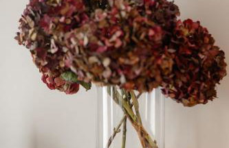 Apartament Perła w Kłodzku 2 - Foto 4