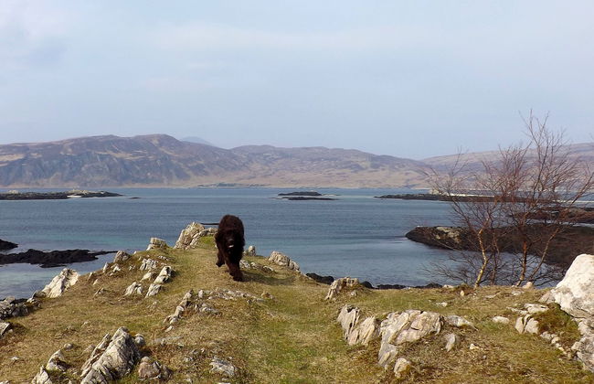 2 bedroom House in Isle with garden and terrace - Photo 15