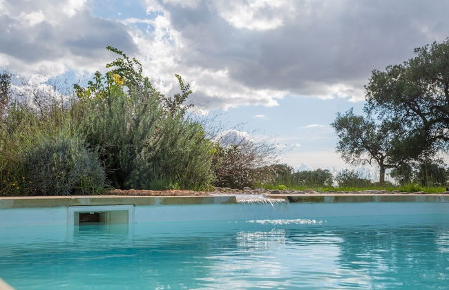 Azienda Agricola Spirdo - Foto 17