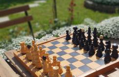 apartma Jelka - Foto 11