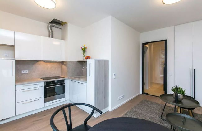 Flawless Apartments Pod Děkankou - Foto 10