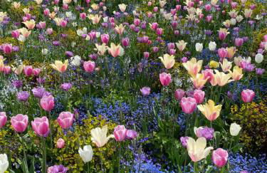 Schöne Wohnung in der Altstadt - Foto 72