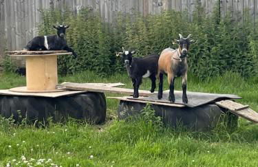 The Gatehouse - Foto 27