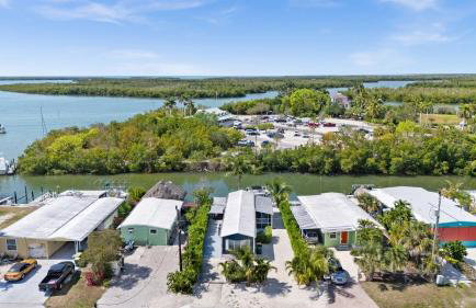 Navy Flamingo - Foto 17