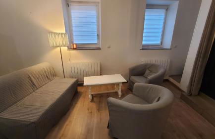 L'Ecrin de Saint Genest Lerpt - Belle vue et Calme - Foto 10