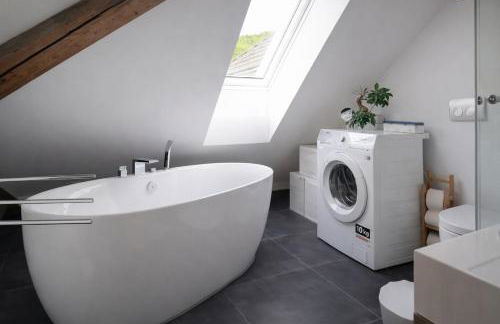 Exklusive Penthouse Wohnung, nahe zur Schweiz DA VINCI - Foto 8