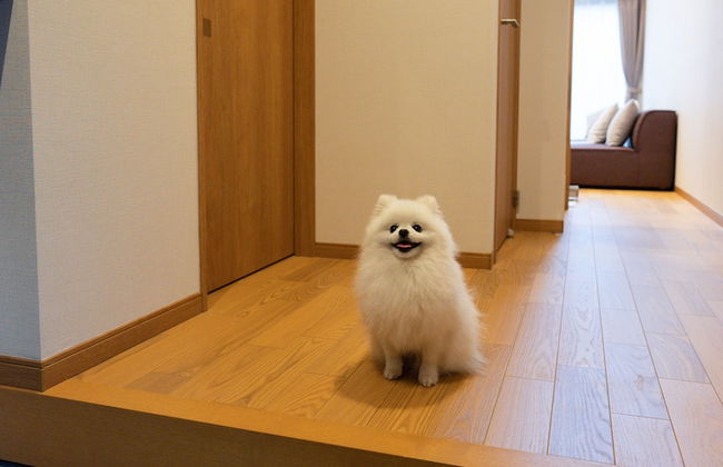 Rakuten STAY VILLA Yatsugatake - Foto 61