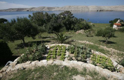 Apartments Roza - Foto 29