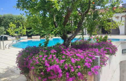 L'Agrumeto Villa & Pool - Puglia Mia Apartments - Foto 5