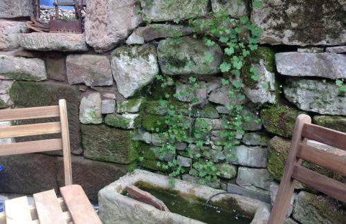 FeWo Paramaribo - Foto 11