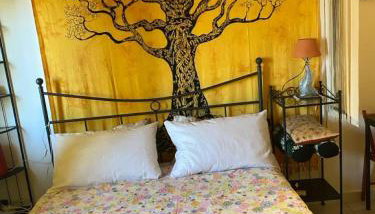 Casa Boboc - Photo 5