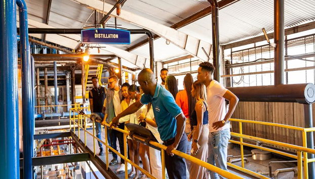 Chukka Appleton Estate & YS Falls - Negril - Foto 5